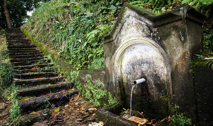 отдых в Батуми